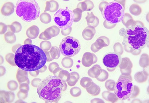 glutathione use | Shaanxi BLOOM Tech Co., Ltd glutathione use | Shaanxi BLOOM Tech Co., Ltd