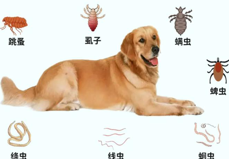 Fluralaner Buy | Shaanxi BLOOM Tech Co., Ltd Fluralaner Buy | Shaanxi BLOOM Tech Co., Ltd