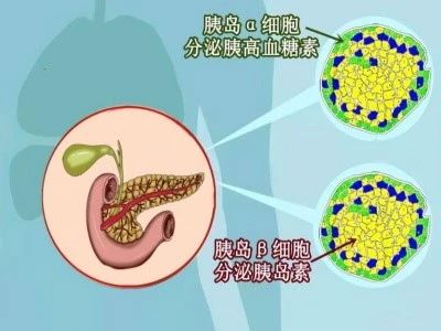 Bioglutide Cost | Shaanxi BLOOM Tech Co., Ltd Bioglutide Cost | Shaanxi BLOOM Tech Co., Ltd