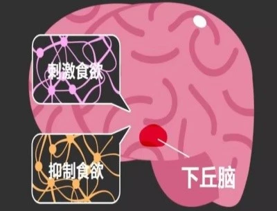 Bioglutide 250mcg | Shaanxi BLOOM Tech Co., Ltd Bioglutide 250mcg | Shaanxi BLOOM Tech Co., Ltd