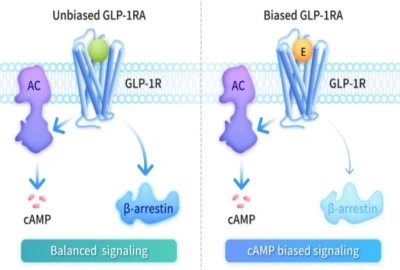 Bioglutide Single-Target Therapies | Shaanxi BLOOM Tech Co., Ltd Bioglutide Single-Target Therapies | Shaanxi BLOOM Tech Co., Ltd